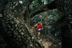 BIB: 
                            <button type="button" onclick="openModal(25391958)" class="btn btn-primary btn-sm float-right btn-popup" data-toggle="modal" data-target=".modal-high-quality">
                        <i class="fas fa-shopping-cart"></i> Add to Cart
                    </button>
                                            <button type="button" onclick="isThisMe(25391958, true)" class="btn btn-success btn-sm float-right btn-popup btn-isme hidden" data-toggle="tooltip" data-placement="bottom" title="นี่คือรูปของคุณใช่ไหม คลิกที่นี่เพื่อเอาเข้าอัลบั้ม">
                        <i class="fas fa-plus"></i> Add to album
                    </button>
                    <button type="button" onclick="isThisMe(25391958, false)" class="btn btn-warning btn-sm float-right btn-popup btn-isnotme hidden">
                        <i class="fas fa-ban"></i> Remove from album
                    </button>